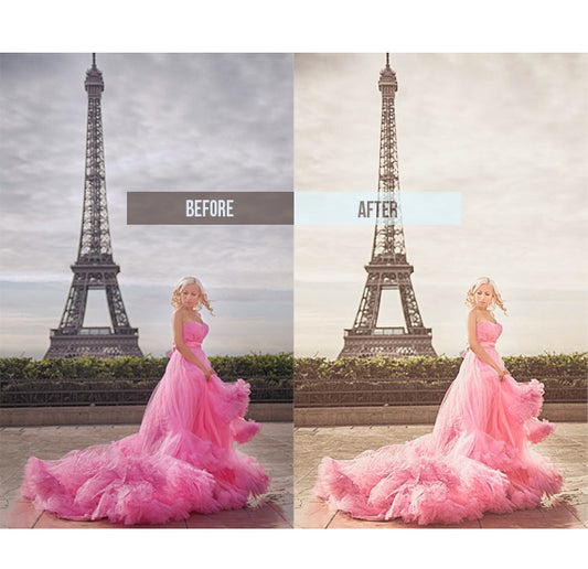 "290 Matte Lightroom Presets Bundle Download"