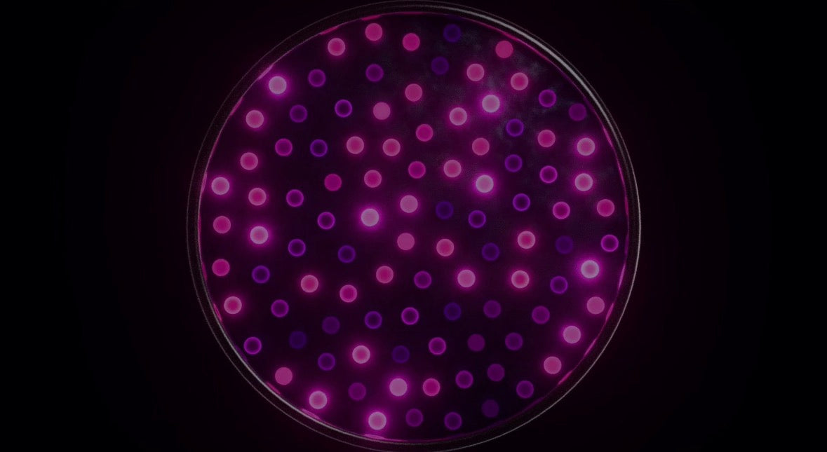 Abstract Glowing Dots Loop – 33s Seamless Cinematic Background Video