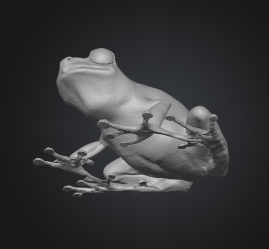 cute frog 3d file glb