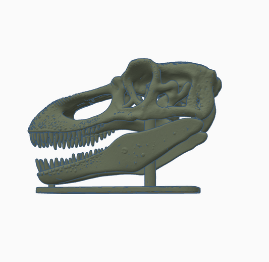 dinosaur skull stl file