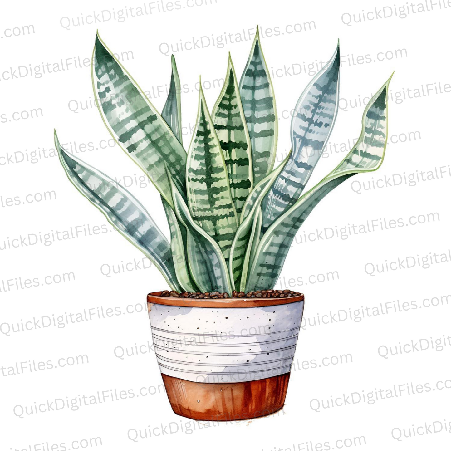 Sophisticated Snake Plant Graphic for Invitations and Digital Artwork