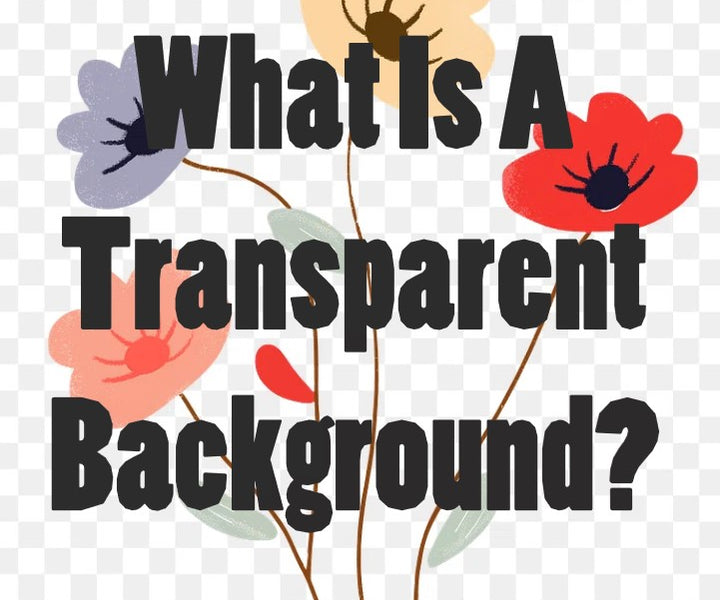 Understanding Transparent Backgrounds in Digital Images