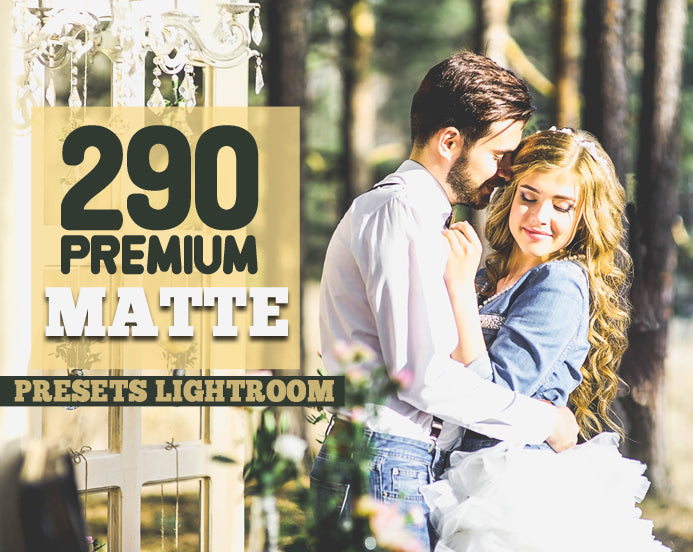 290 Matte Presets Bundle for Adobe Lightroom