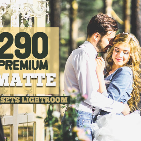 290 Matte Presets Bundle for Adobe Lightroom