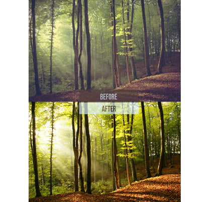 "Premium Lightroom Presets for Nature and Outdoor Photos"