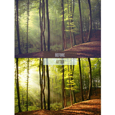 "Premium Lightroom Presets for Nature and Outdoor Photos"