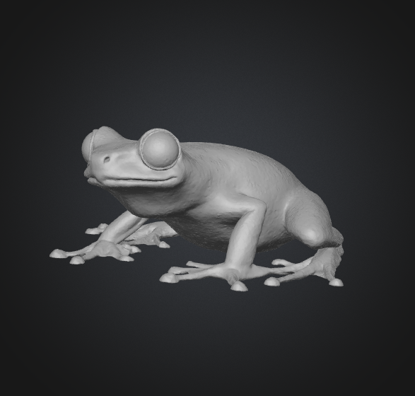 3d frog model stl
