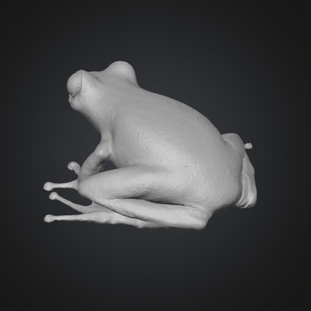 3d printable frog model
