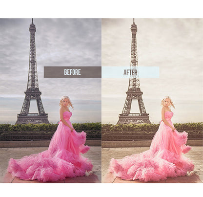 "290 Matte Lightroom Presets Bundle Download"