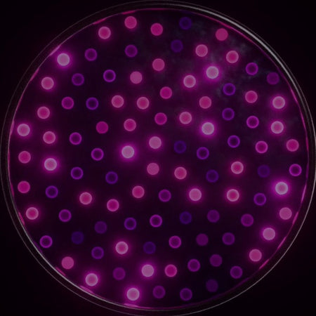 Abstract Glowing Dots Loop – 33s Seamless Cinematic Background Video