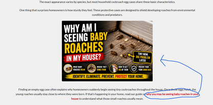 Amazon product image automation plugin