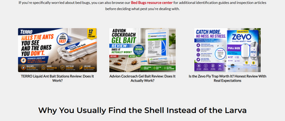 Best Related Posts Plugins for WordPress