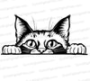 Cat Peeking SVG Illustration