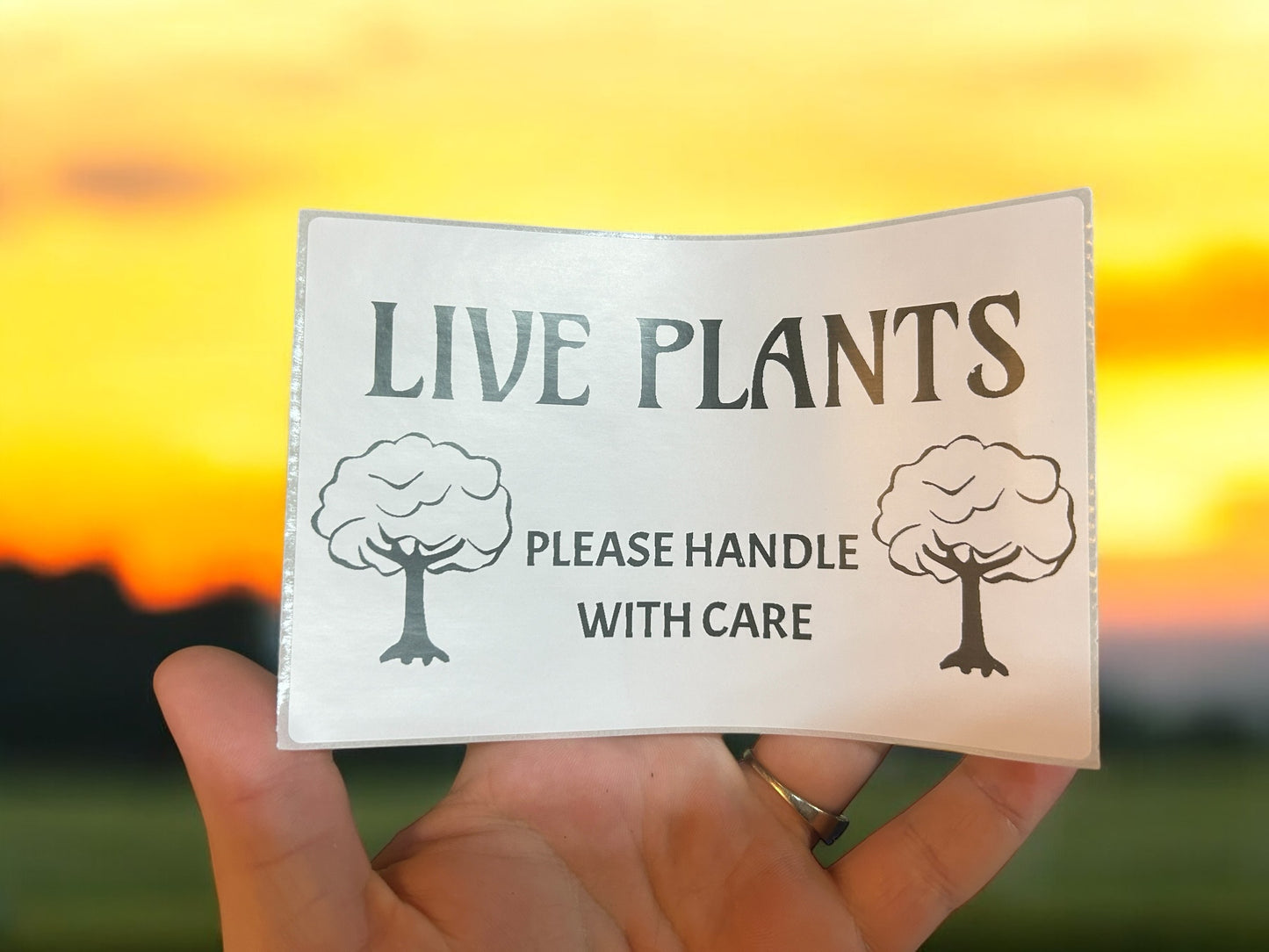 Handle with care label for live plant packaging


