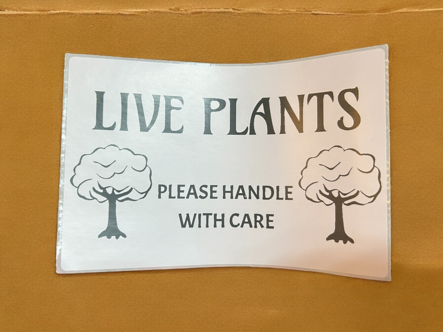 Printable live plants handle with care label SVG
