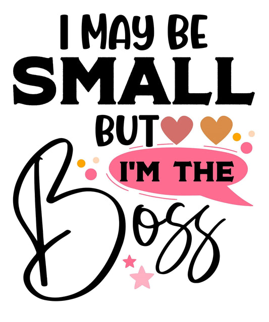 i may be small but im the boss