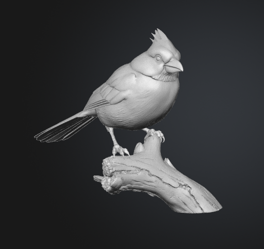 Northern Cardinal Statue: STL GLB