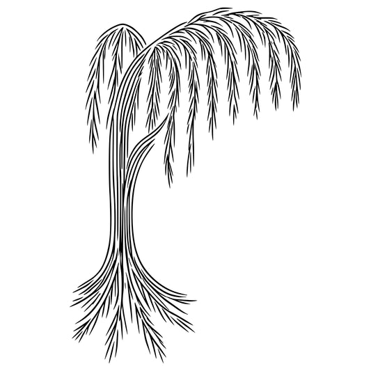 Willow Tree: SVG PNG JPEG PDF