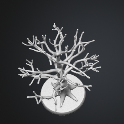 Tree jewelry organizer STL viewed from above