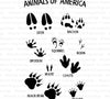 Midwest USA animal footprint tracks digital design