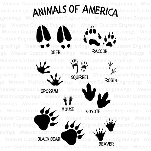 Midwest USA animal footprint tracks digital design