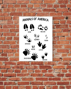 Nature print for nursery and kids' room decor