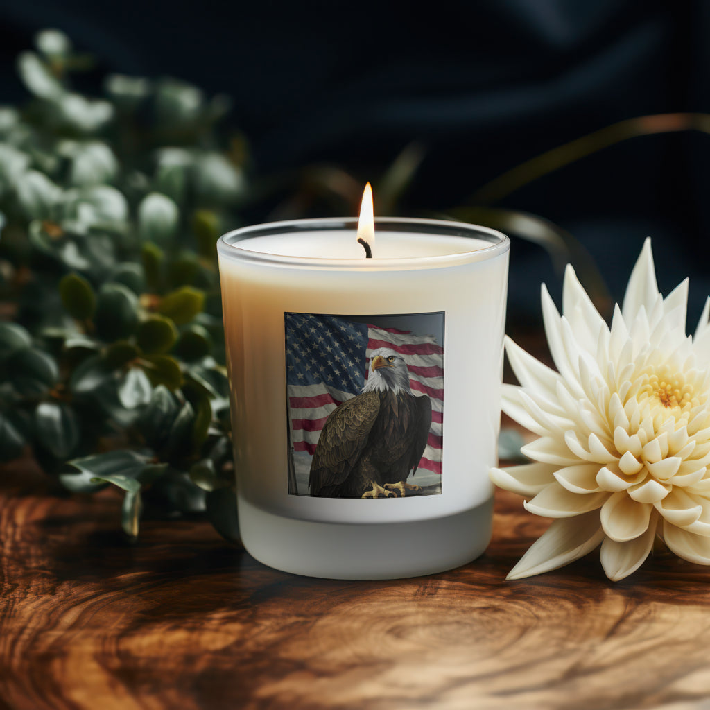 "High-resolution image of eagle and weathered flag for educational content."