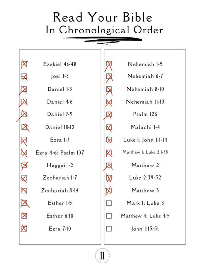 User-friendly Bible reading plan PDF for daily spiritual growth