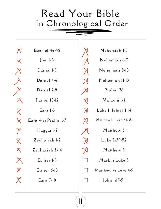 Digital download for chronological Bible study guide.