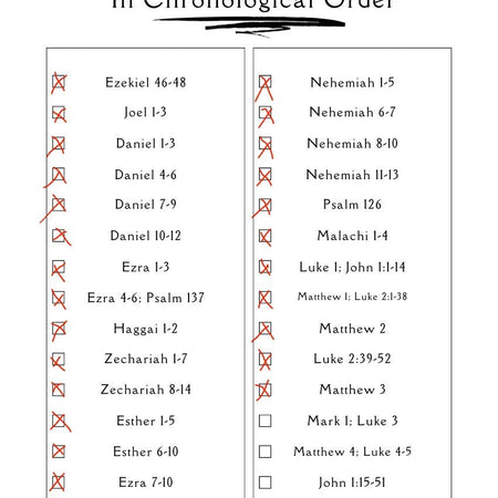 Digital download for chronological Bible study guide.