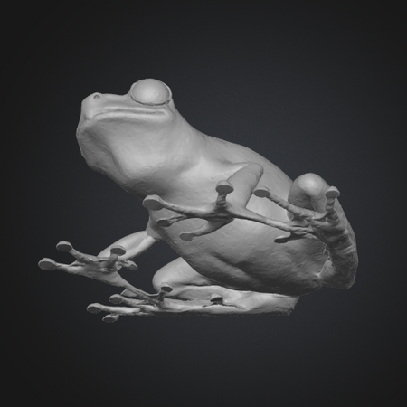 cute frog 3d file glb
