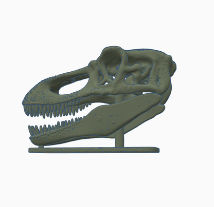 dinosaur skull stl file
