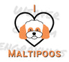 "Pawsome Maltipoo Love" SVG design for dog lovers and Maltipoo enthusiasts.