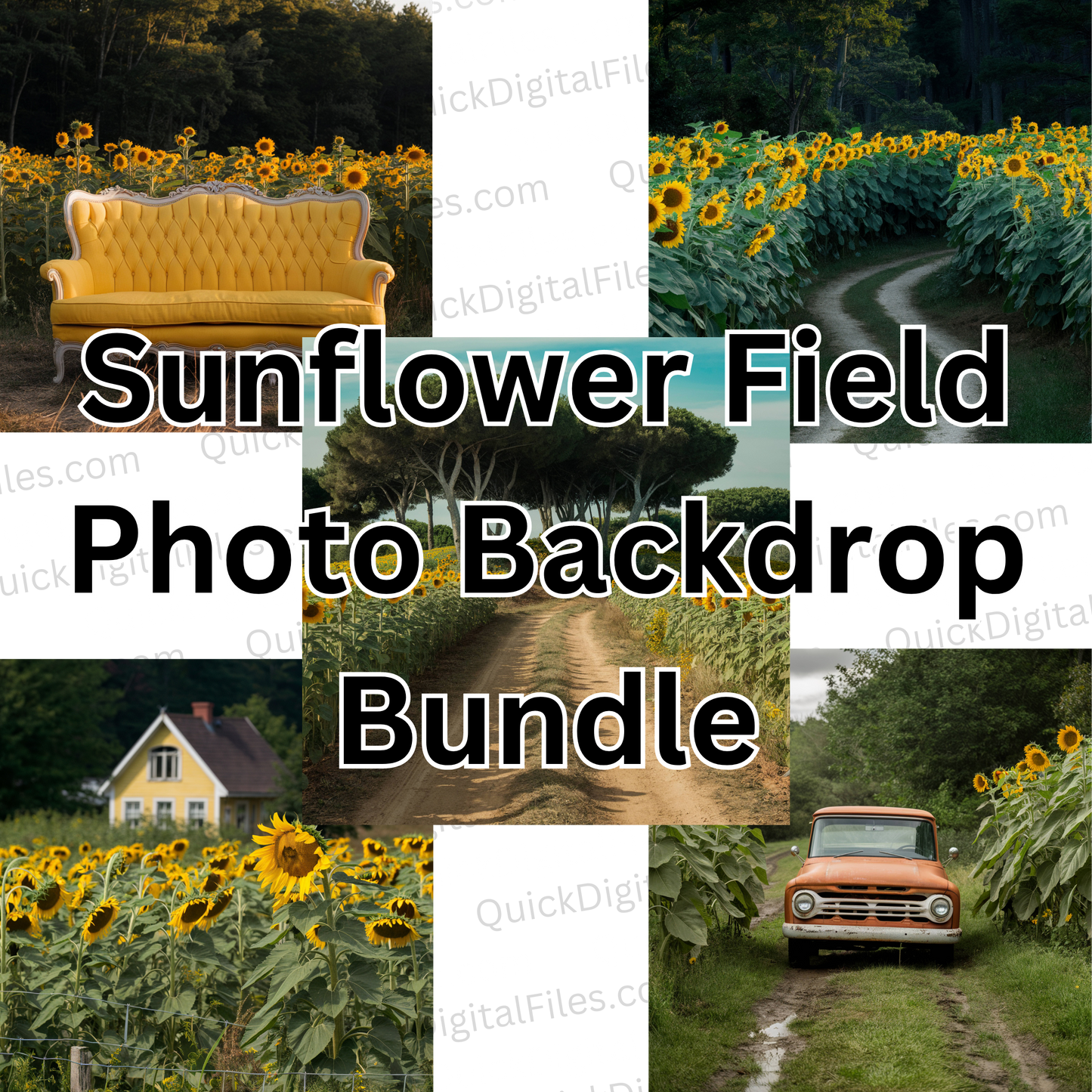 sunflower photo backdrop 5 pack photo bundle PNG & JPEG