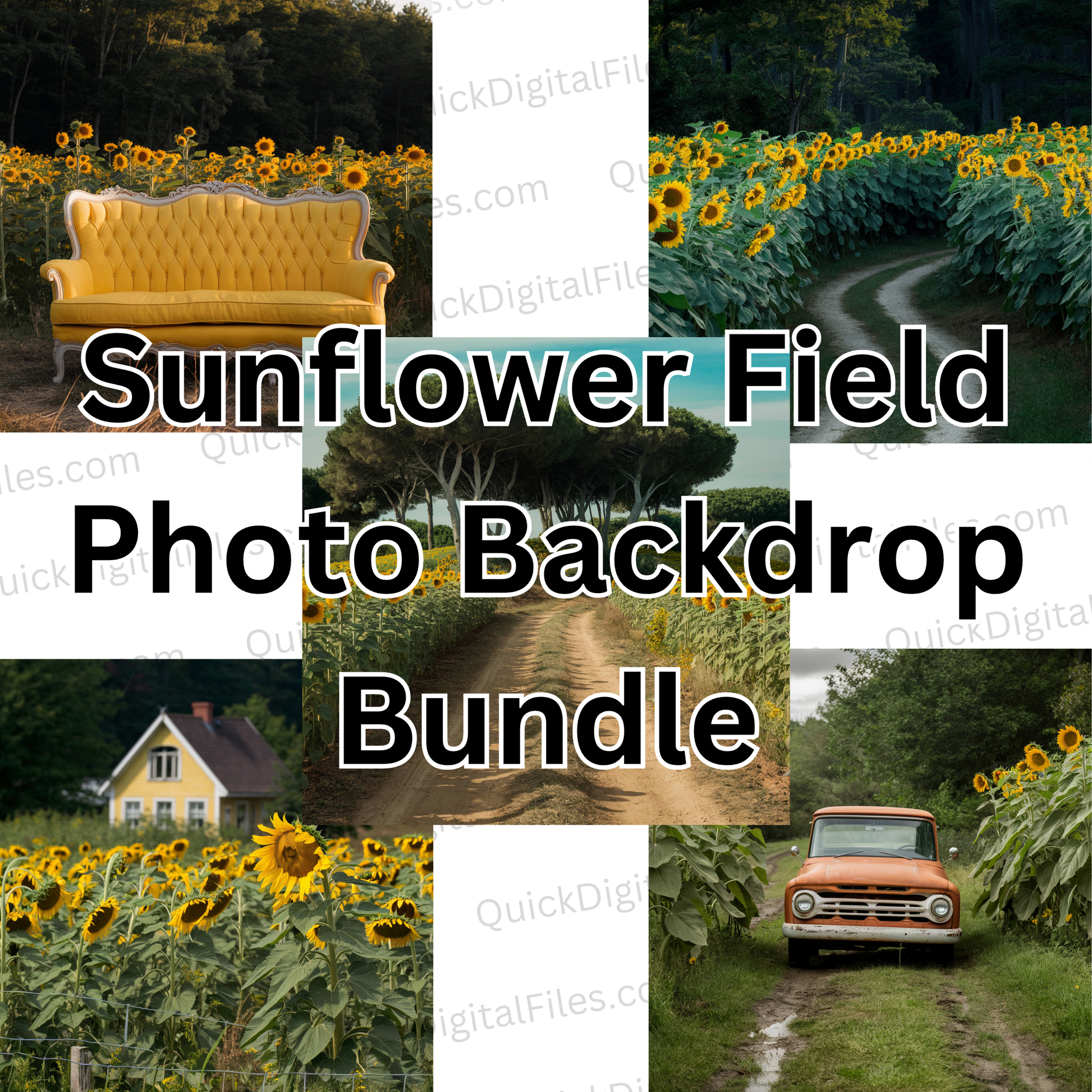 sunflower photo backdrop 5 pack photo bundle PNG & JPEG