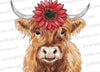 "Watercolor Highland cow with vibrant red flower clipart PNG."