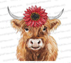 "Watercolor Highland cow with vibrant red flower clipart PNG."