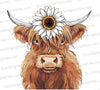 "Watercolor Highland cow with white flower clipart PNG."