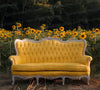 High-quality photo backdrop of a vibrant yellow tufted sofa in a sunflower field