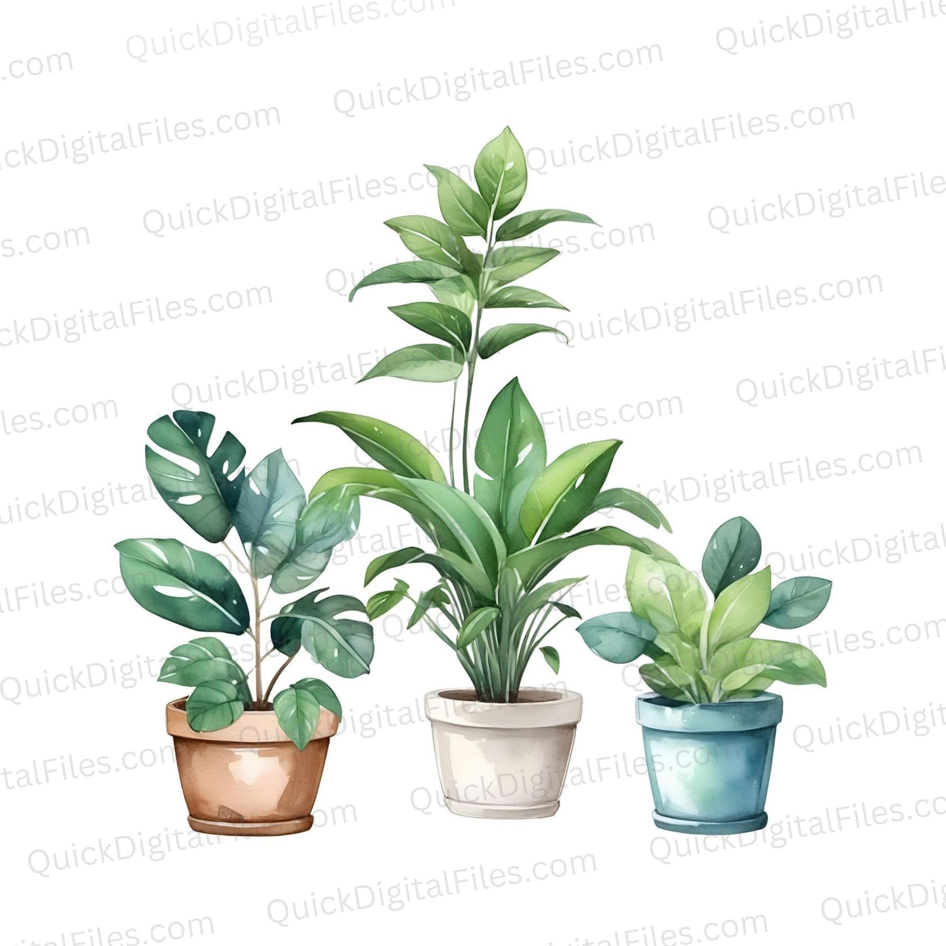 assorted potted plants Assorted Potted Plants Drawing: JPEG