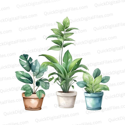 Digital image of assorted potted plants in painting style.