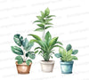 Digital image of assorted potted plants in painting style.