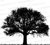 Simple Oak Tree Silhouette SVG