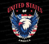 Patriotic bald eagle and American flag circle graphic "United States Of America"