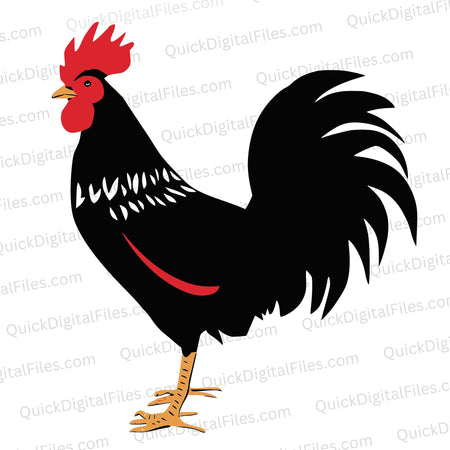 Unique rooster design SVG with a pop of color for DIY crafts