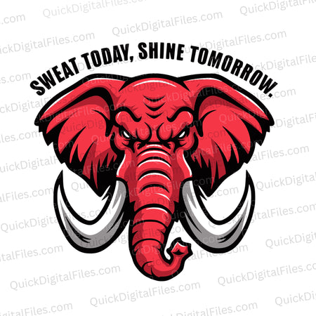 Sweat Today, Shine Tomorrow SVG