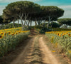 Serene sunflower pathway backdrop with a natural tree archway and clear blue sky