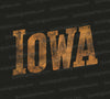 Gold Iowa t-shirt graphic PNG
