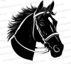 "Black Horse Head Silhouette SVG, PNG, JPEG"