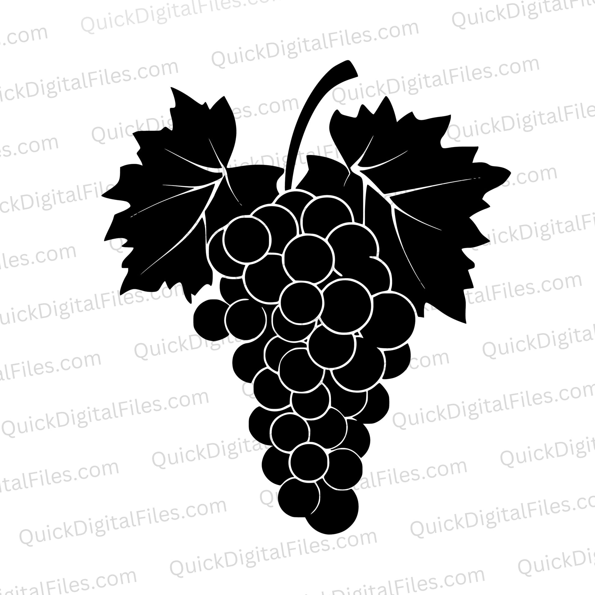 "Silhouette of grape vine with detailed grapes and leaves in black graphic art."